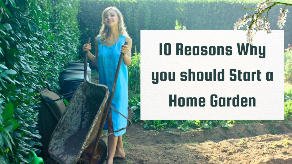 10 Reasons Why you should Start a Home Garden